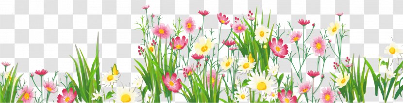 Borders And Frames Clip Art Flower Floral Design - Plant Stem Transparent PNG