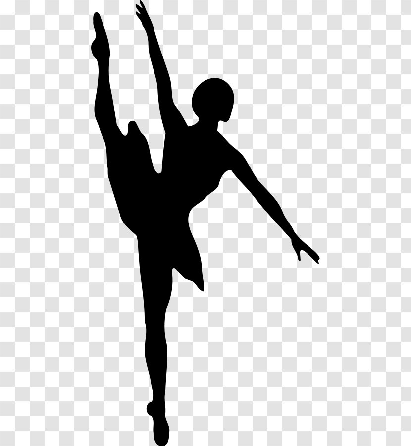 Dance Ballet Clip Art - Zumba - Free Photos Transparent PNG