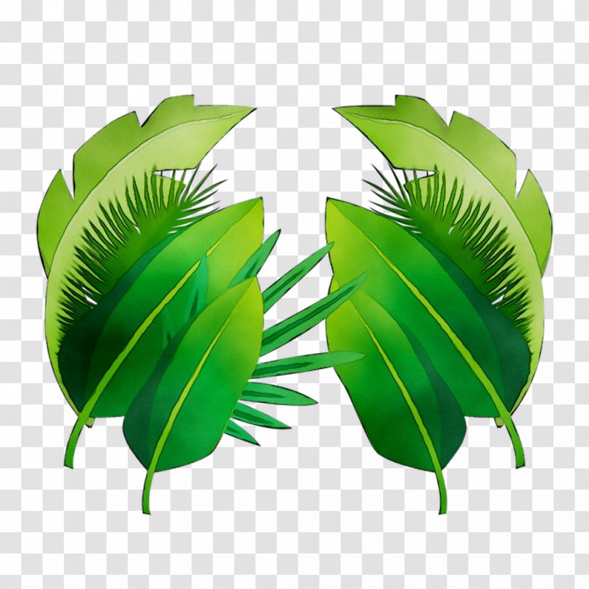 Clip Art Image Vector Graphics Leaf - Palm Trees Transparent PNG