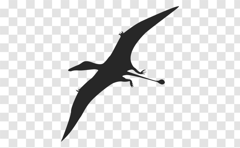 Pterodactyls Pterosaurs Silhouette Dinosaur Lambeosaurus - Sky - Vector Transparent PNG