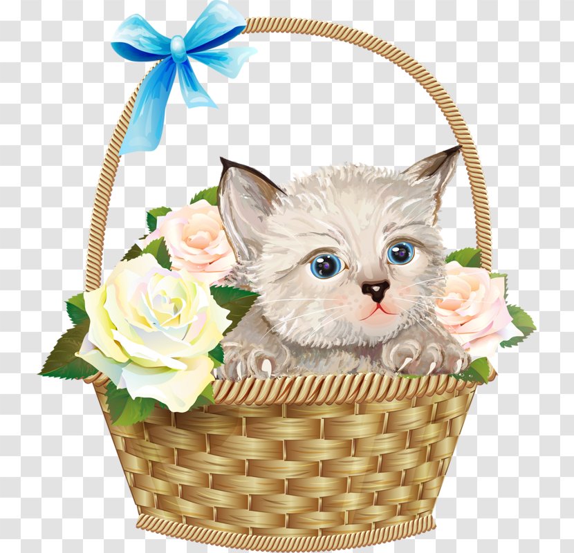 Kitten Cat Basket Drawing - Whiskers - Baskets Transparent PNG