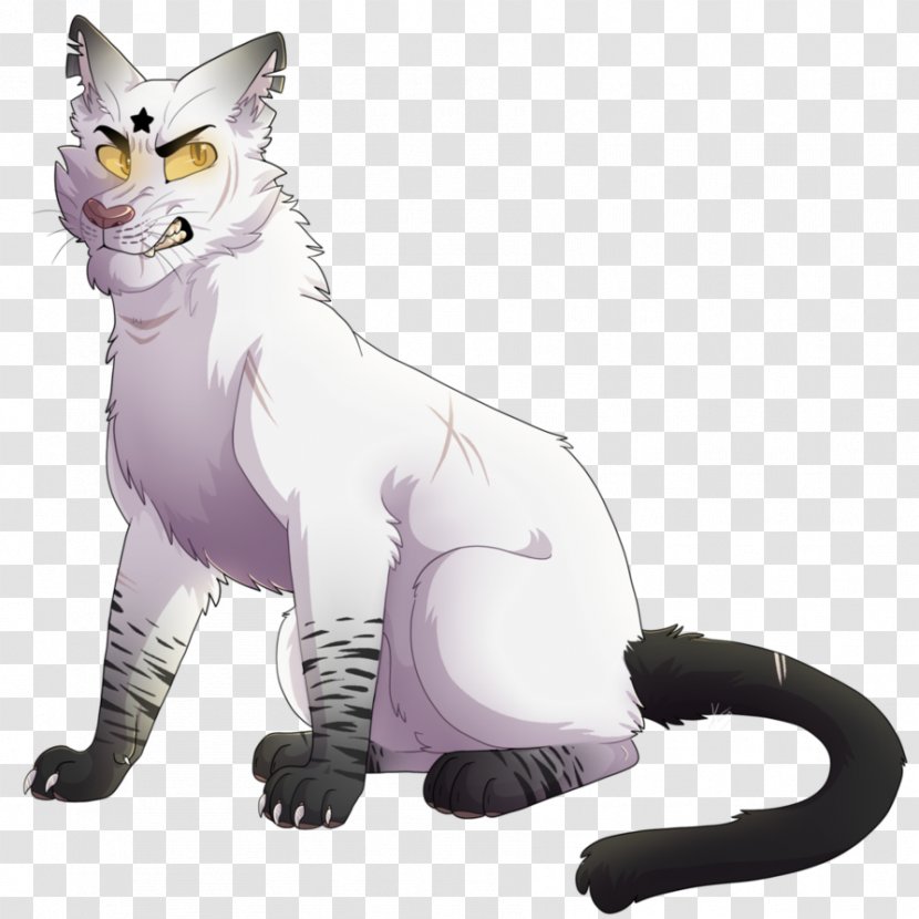 Whiskers Kitten Domestic Short-haired Cat Warriors Transparent PNG