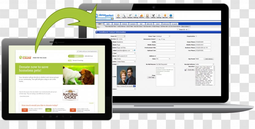 Web Page Display Advertising Organization Brand - Computer Transparent PNG