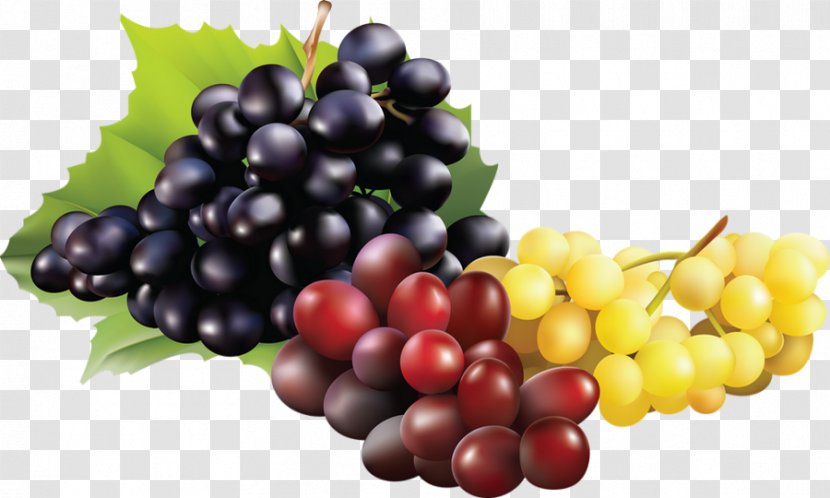 Sultana Zante Currant Grape Seedless Fruit Raceme - Local Food - Raisin Transparent PNG