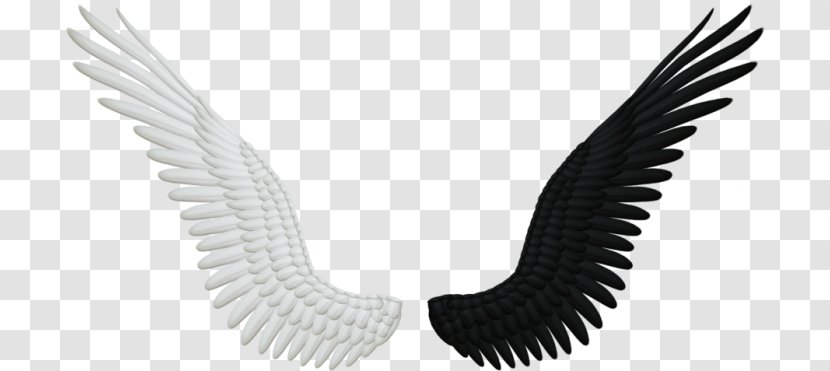 Mask Crow Child Craft - Angel Feathers Transparent PNG