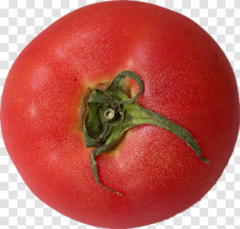 Cherry Tomato Vegetable Fruit Transparent PNG