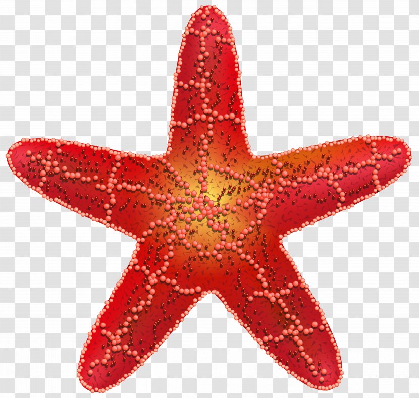 Starfish Clip Art - Color Transparent PNG