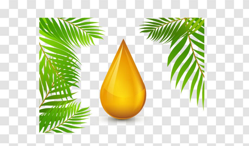 Roundtable On Sustainable Palm Oil Olive - Vector Golden Droplets Transparent PNG