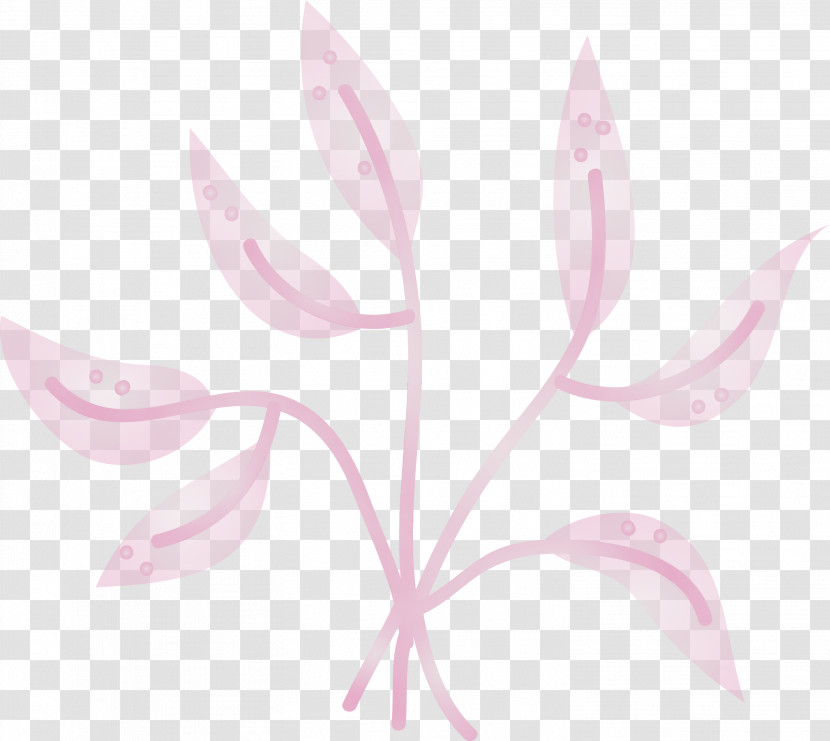 Petal Leaf Pink M Flower Plants Transparent PNG