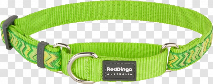 Dog Collar Martingale Dingo Red Transparent PNG