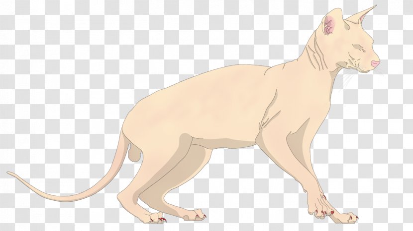 Whiskers Cat Paw Terrestrial Animal Puma - Mammal Transparent PNG