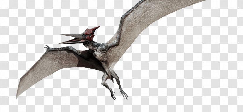 Pteranodon Dimorphodon Pterodactyls Ankylosaurus Jurassic Park - Iii - Dinosaur Vector Transparent PNG