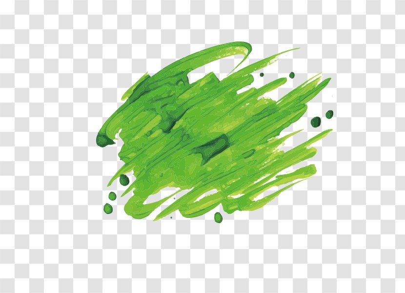 Green Watercolor Brush Strokes Ink - Frame - Tree Transparent PNG