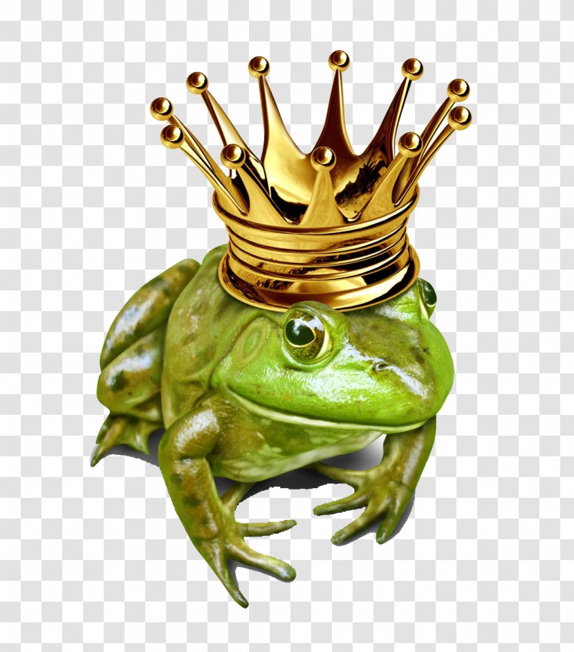The Frog Prince Royalty-free Illustration - Organism Transparent PNG