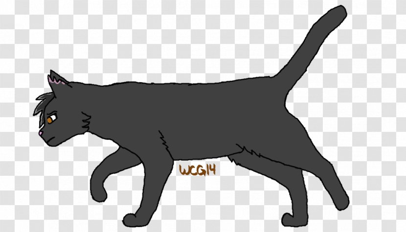 Kitten Manx Cat Korat Black Whiskers - Warrior Drawings Wings Transparent PNG