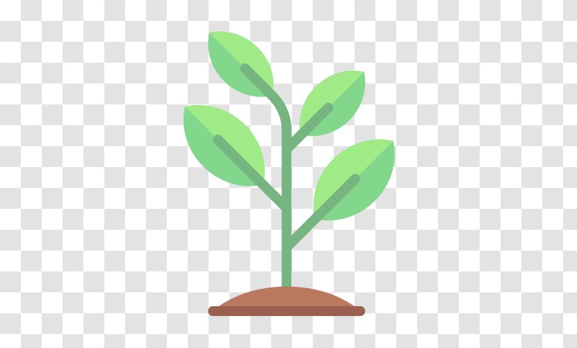 Seed Sprouting - Leaf - Grow Plant Transparent PNG