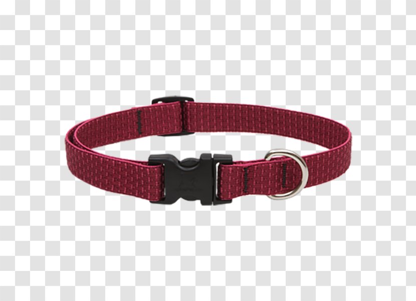 Dog Collar Buckle Belt - Buckles - Collars Transparent PNG