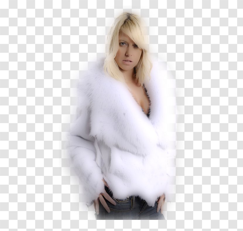 Fur Arctic Fox Jacket Collar Mink - Silhouette Transparent PNG