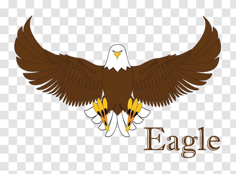Bald Eagle Statue Of Liberty Logo Beak - Bird Prey Transparent PNG