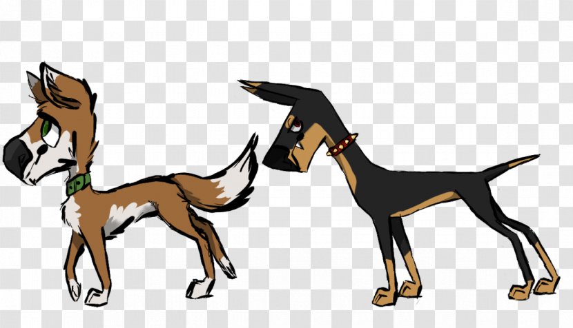 Dog Cat Mammal Animal Canidae - Tail - Jackal Transparent PNG