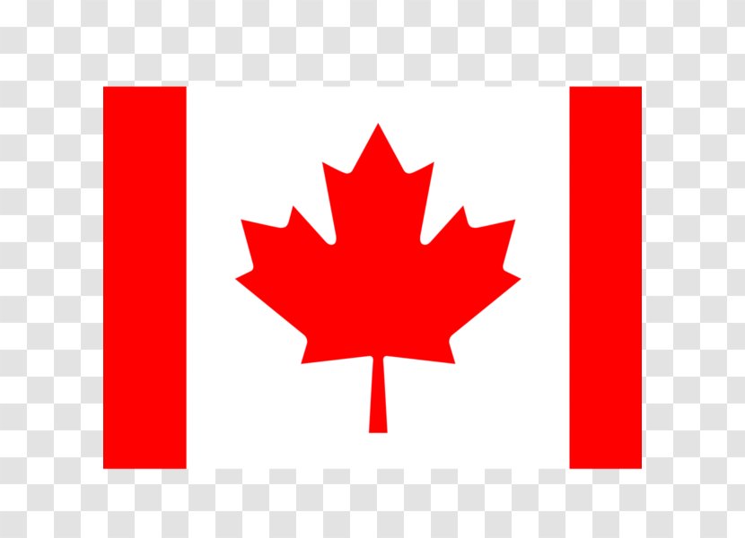 Flag Of Canada Maple Leaf National Transparent PNG