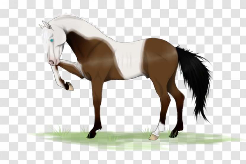 Mane Mustang Stallion Rein Mare - Horse Harness Transparent PNG