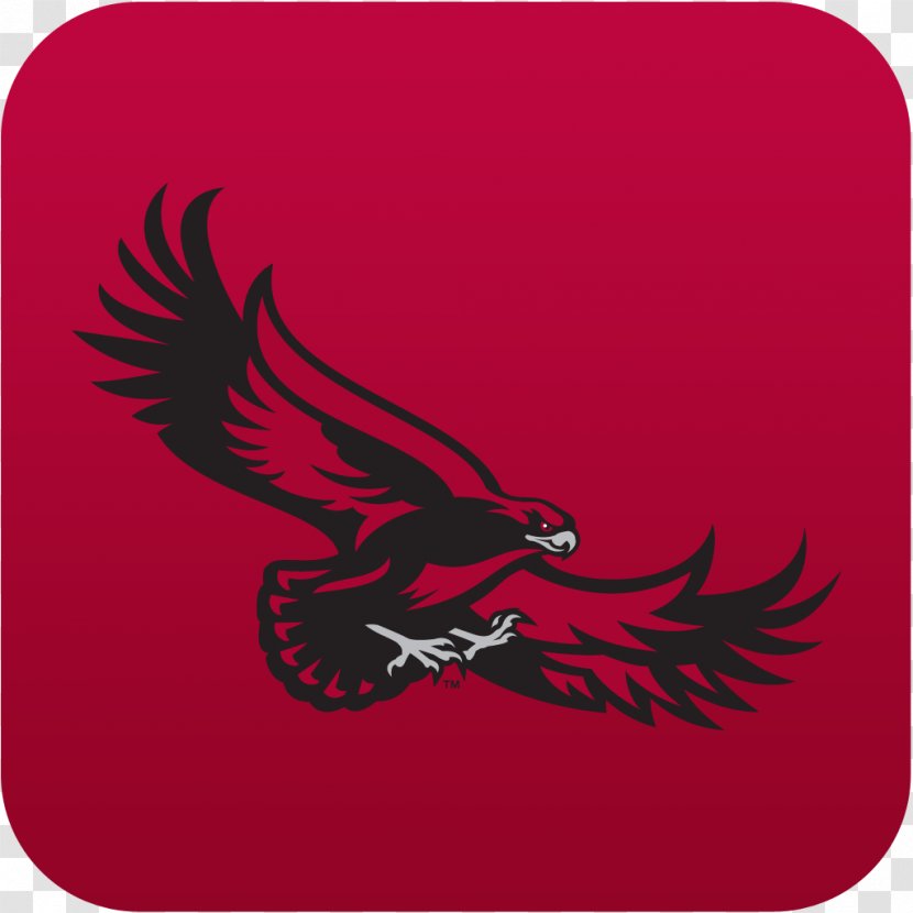 Eagle Saint Joseph's Hawks Baseball University - Vertebrate Transparent PNG