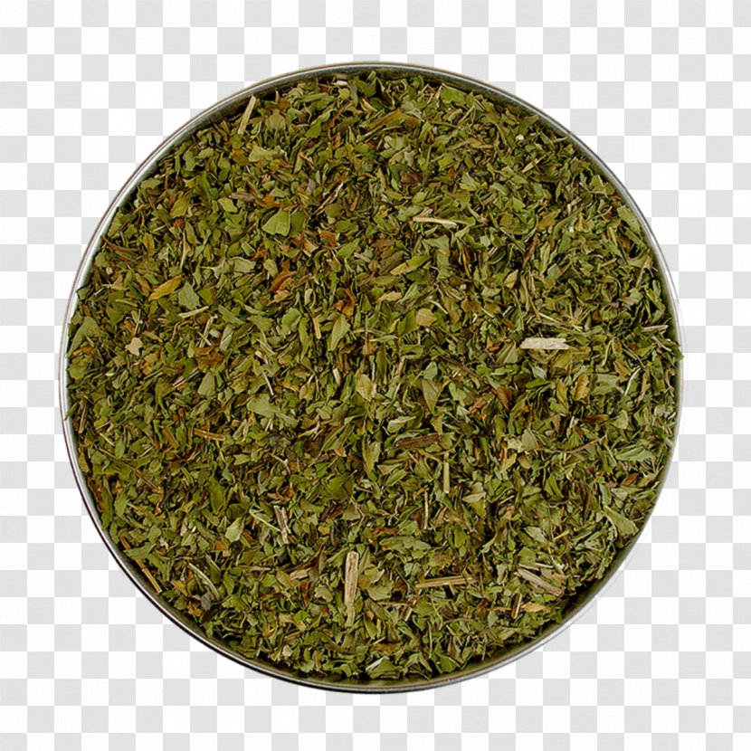 Green Tea - Seasoning - Herb Transparent PNG