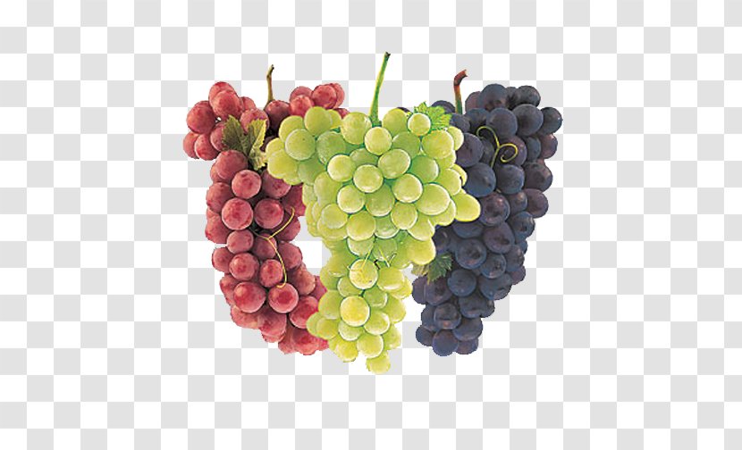 Common Grape Vine Wine Juice Cultivar - Fruit - Trebles Grapes Transparent PNG