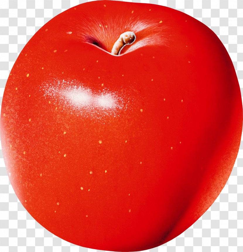 Apple Fruit - Food Transparent PNG