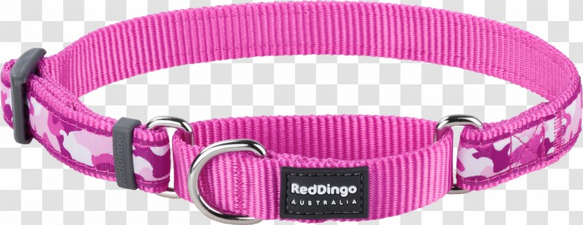Dog Collar Dingo Martingale - Webbing - Red Transparent PNG