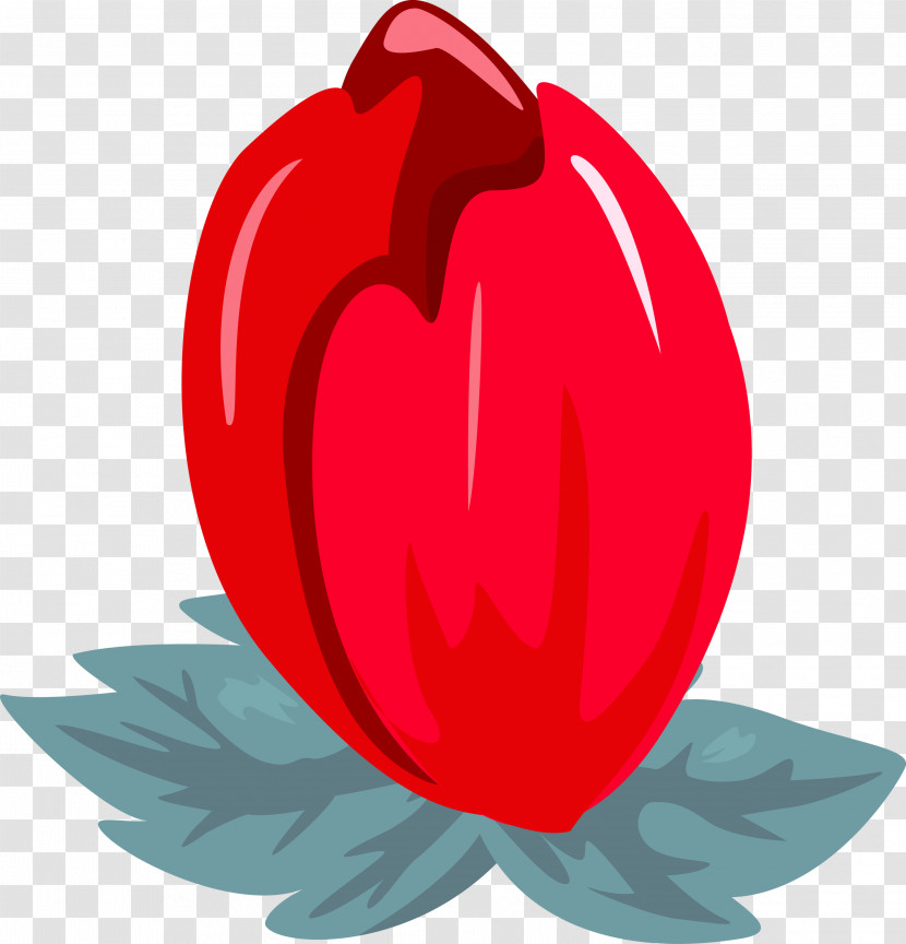 Red Leaf Plant Petal Tree Transparent PNG