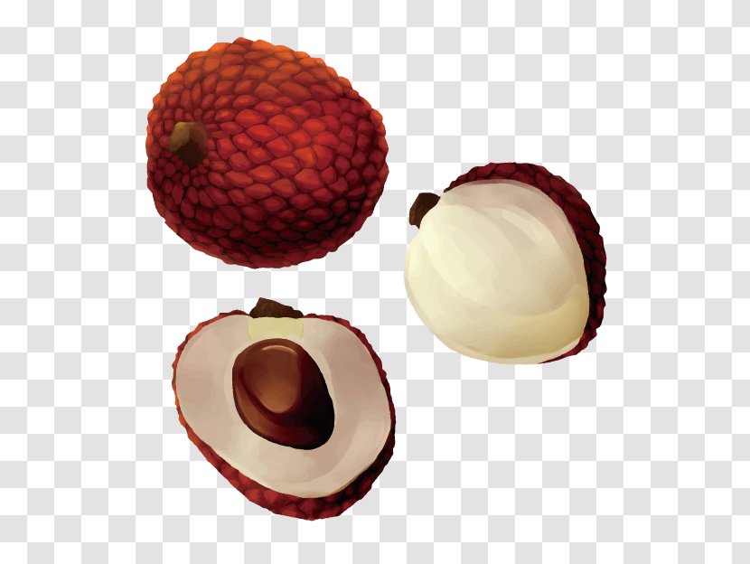 Lychee Fruit Illustration - Soapberry Family - 3d Vector Hand-drawn Pictures Transparent PNG