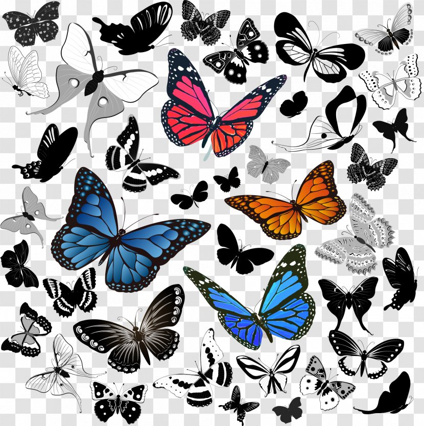 Butterfly - Resource - Book Transparent PNG