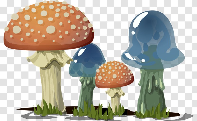Lingzhi Mushroom Amanita Muscaria Fungus Clip Art - Free Cliparts Transparent PNG