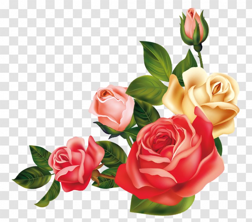 Wedding Invitation Garden Roses Centifolia Flower - Floral Design - Rose Transparent PNG
