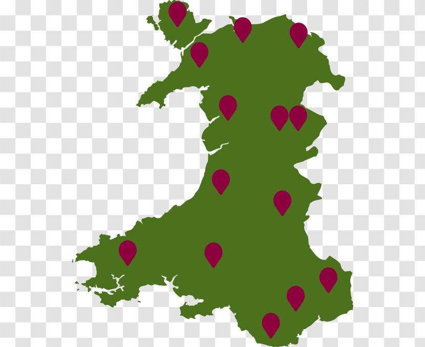 Wales Vector Graphics Clip Art Map Royalty-free - Flower - Welsh Countryside Castle Transparent PNG