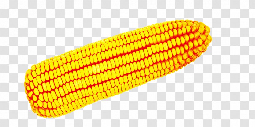 Corn On The Cob Maize Download Icon - Orange Transparent PNG