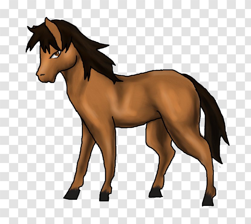 Foal Mane Stallion Mare Pony - Vertebrate - Mustang Transparent PNG
