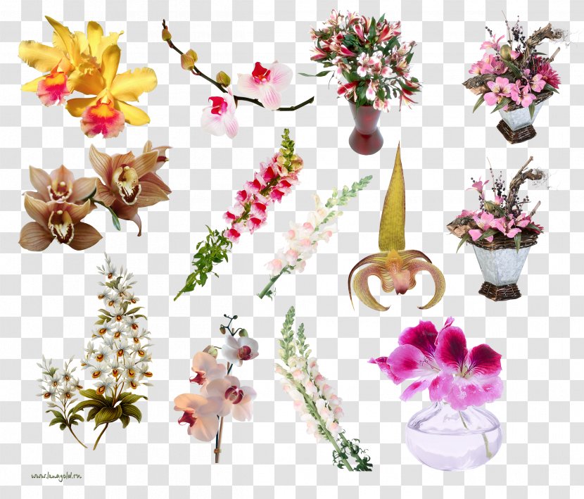 Floral Design Orchids Cut Flowers Clip Art - Petal - Flower Transparent PNG