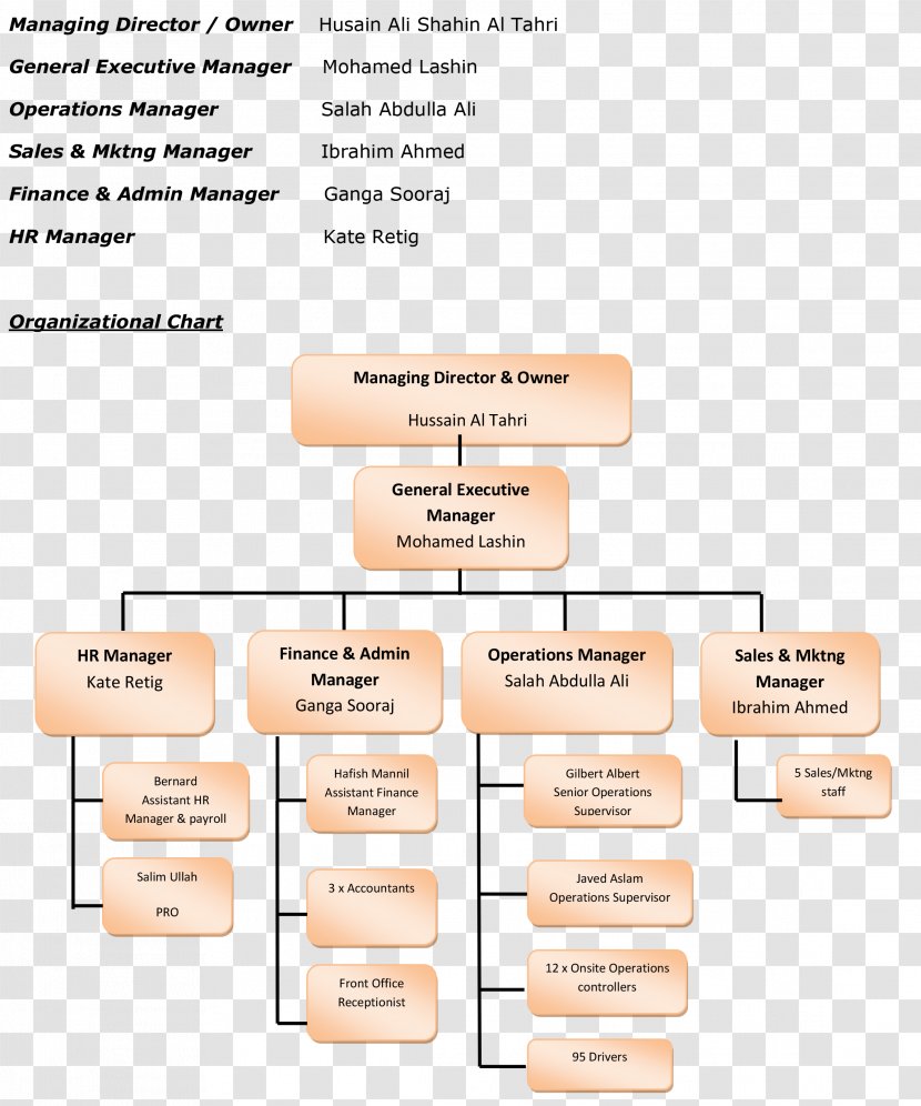Organizational Chart Business Structure Transparent PNG