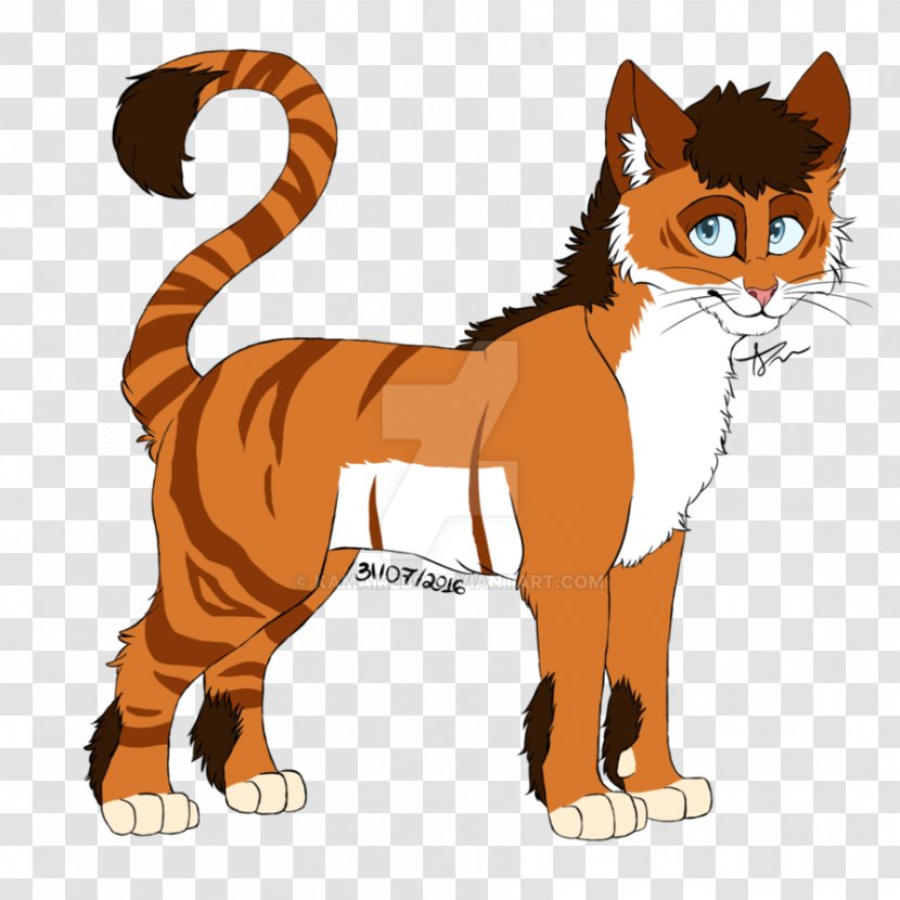 Cat Tiger Mammal Whiskers Animal - Carnivora - Angel Baby Transparent PNG