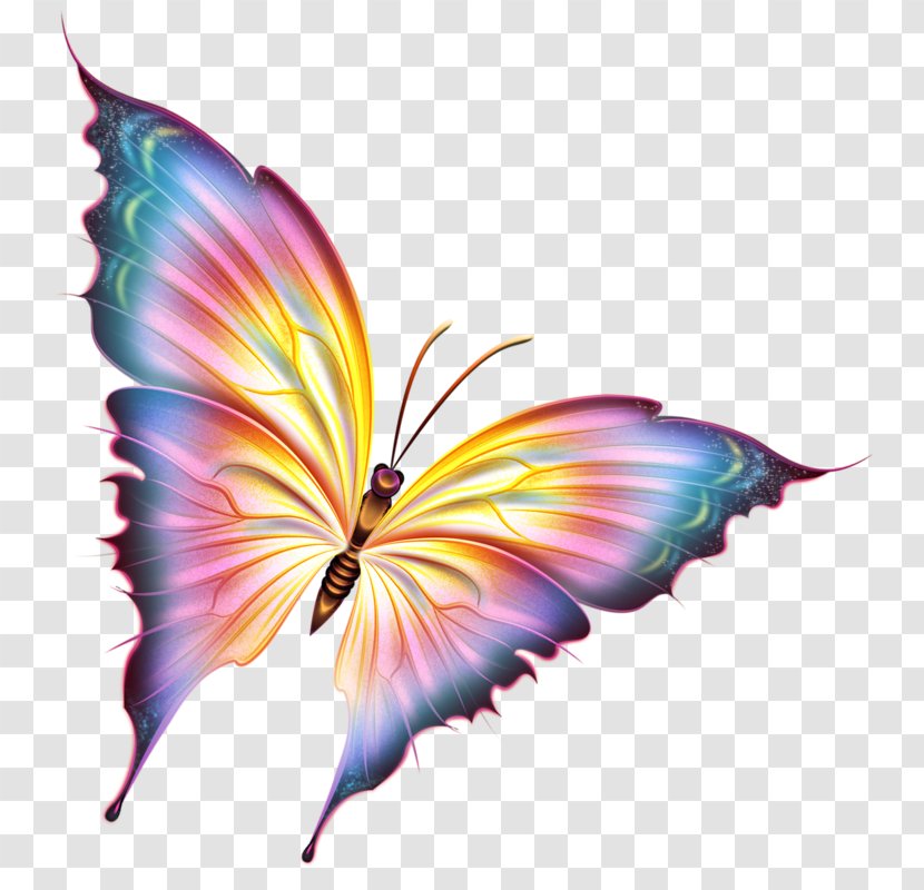 Butterfly Clip Art - Yellow-blue Painted Ghost Transparent PNG