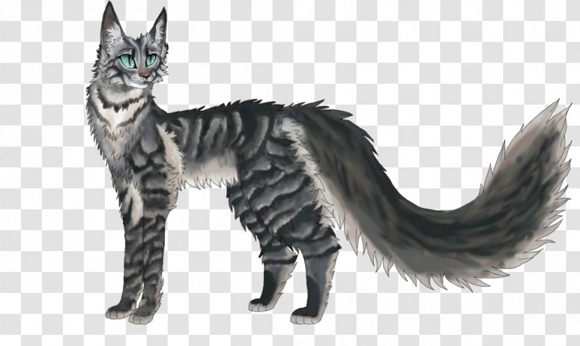 Maine Coon American Wirehair Kitten Warriors Tabby Cat - Fauna - Mountain Stream Transparent PNG