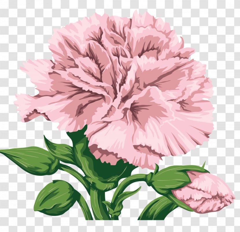 Carnation Cut Flowers Clip Art - Flower Transparent PNG