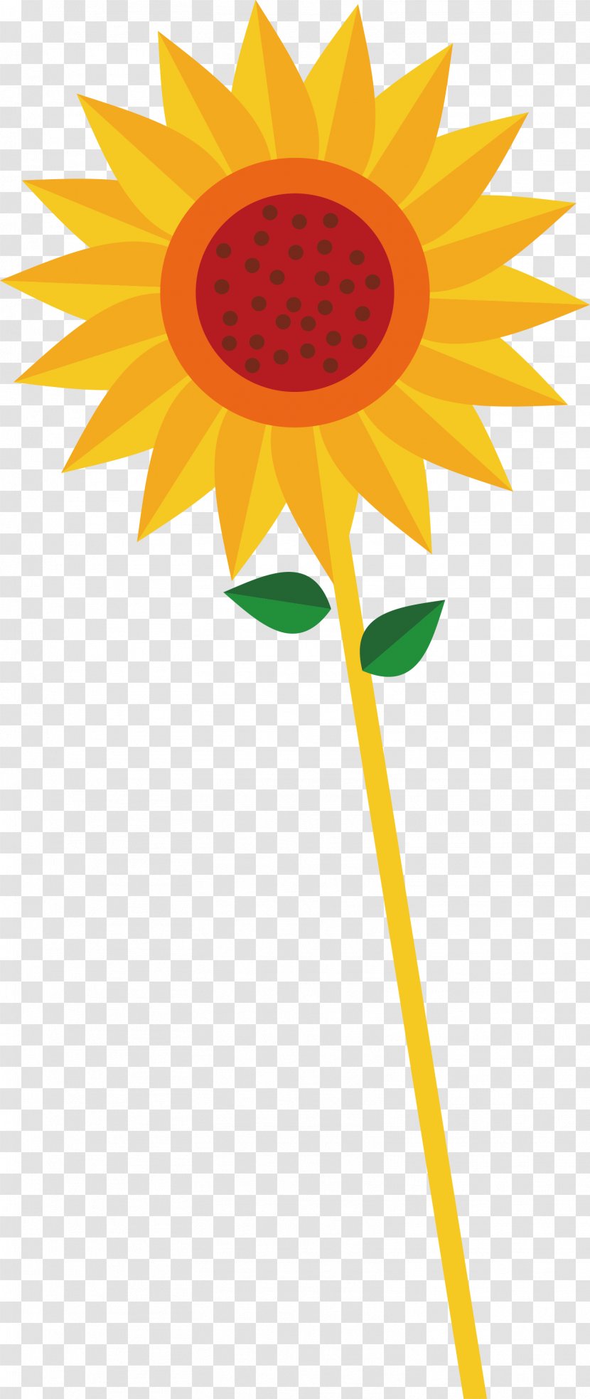 Common Sunflower Euclidean Vector Clip Art - Flower Transparent PNG
