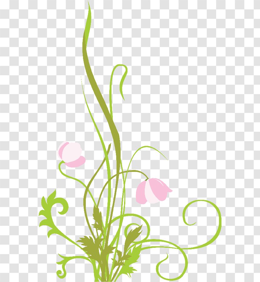 Floral Design Flower Painting Art - Cut Flowers Transparent PNG