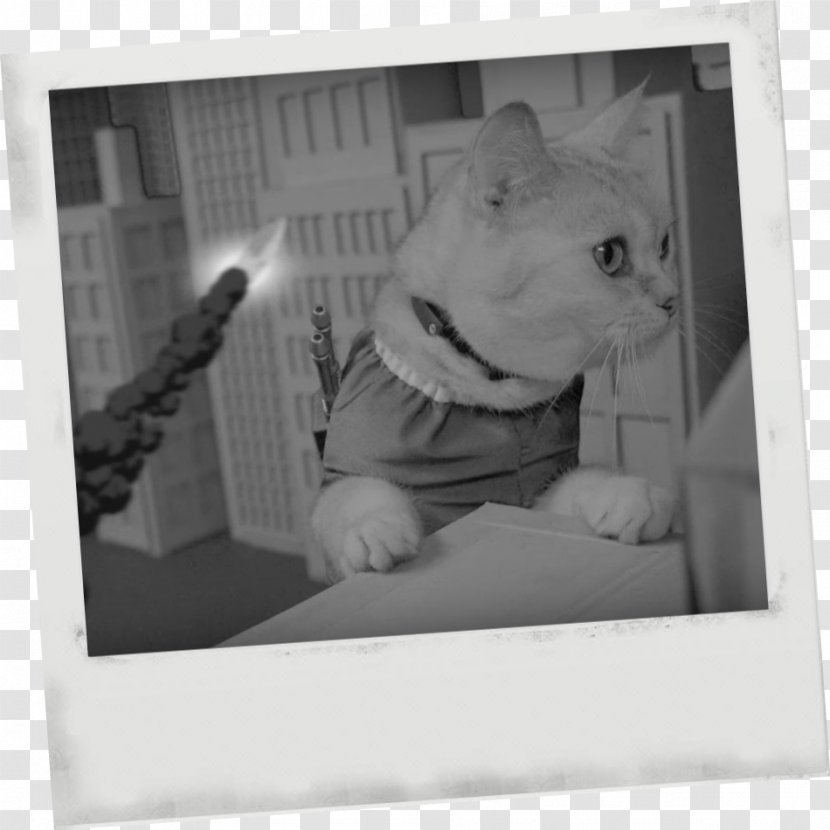 Whiskers Dog Cat White Picture Frames Transparent PNG