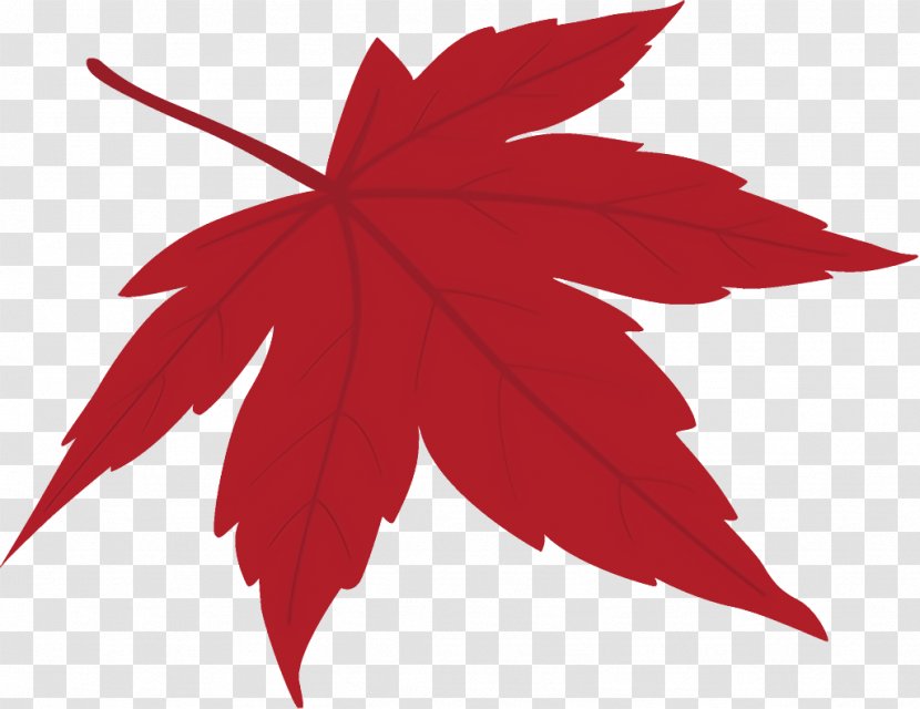 Maple Leaf Fallen Dead - Plant - Black Sweet Gum Transparent PNG