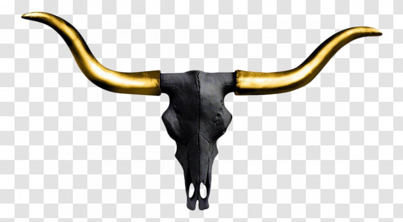Texas Longhorn English Wall Decal Color - Cattle - LongHorn Skull Transparent PNG